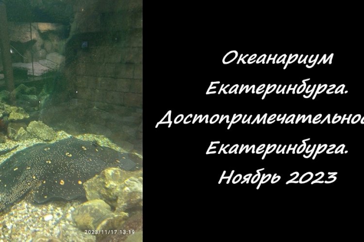 Посещение океанариума в городе Екатеринбург