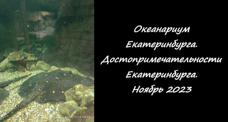 Посещение океанариума в городе Екатеринбург