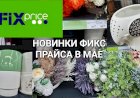 Новинки Фикс Прайса в мае, цветы, вазы, светильники.