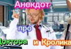 Анекдот про Доктора и Кролика!!!