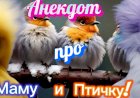 Анекдот про Маму и Птичку!!!