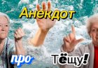 Анекдот про Тëщу и Зятя!!!