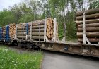 Виадук Хетцдорф, поезд, перевозящий сосновые бревна