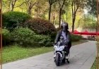 Хвостатый байкер