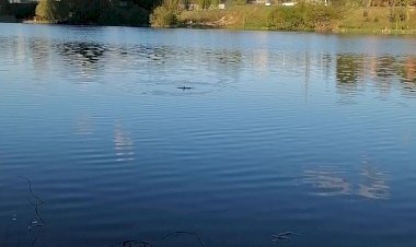 "И снова пруд  уж майский"