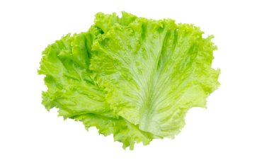 Как оживить увядший салат и как его хранить в холодильнике