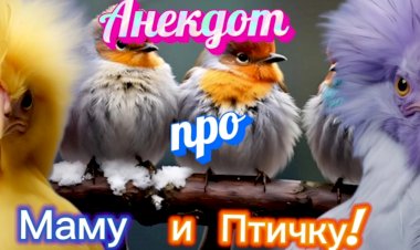 Анекдот про Маму и Птичку!!!