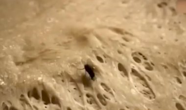 "Как нас травят магазинным хлебом"