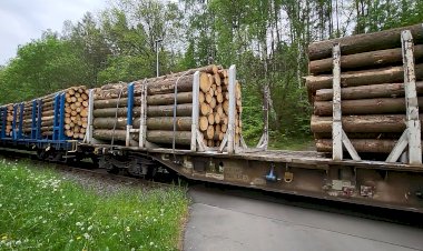 Виадук Хетцдорф, поезд, перевозящий сосновые бревна
