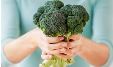 Как выбрать брокколи правильно? А также как приготовить брокколи