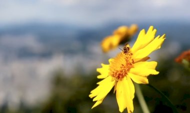 Песня в новом прочтении