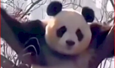 Как познать Дзен?