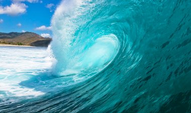 Умирающий океан это смерть всей планете