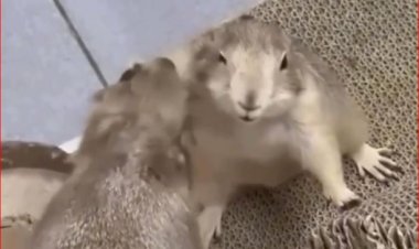 Не обижайся...