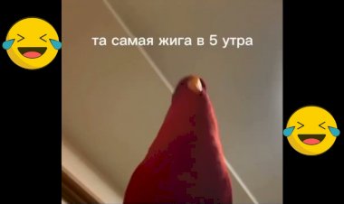 Те самые жигули которые есть в каждом дворе