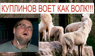 Куплинов воет созывая стаю, угар