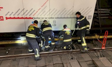 Кошка остановила движение поездов в метро.