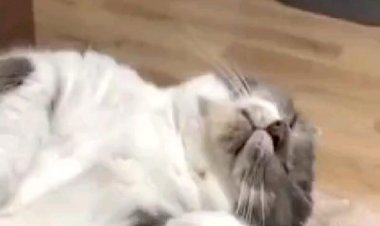 Когда на Выходных Приснилась Работа