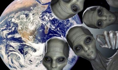 Мы есть оборотни