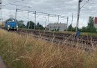 Гербицидный Поезд, против сорняков на путях