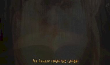 100 цитат со смыслом о нашей жизни