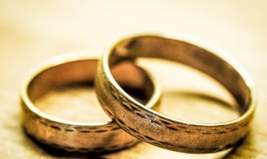 О выстраивании взаимоотношений между невестками и свекровями.