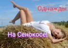 Однажды на Сенокосе!