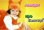 Анекдот про Белочку!