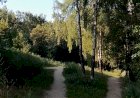 Августовская песнь леса