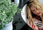 Ke$ha - TiK ToK