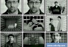 Lightning Seeds