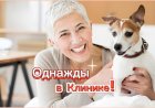 Однажды в Ветеринарной клинике!