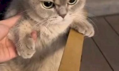 Почему ты так злишься, детка?