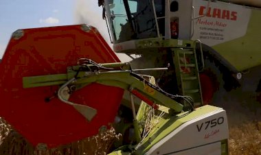 Комбаин уборка урожая пшеницы