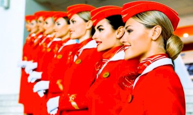 Знакомая стюардесса раскрыла секреты быстрого похудения — теперь это мой единственный способ сбросить вес.