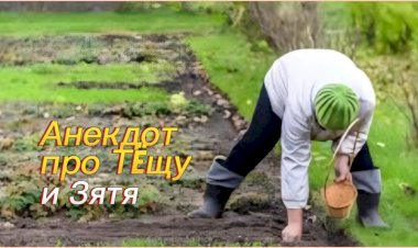 Анекдот про Тëщу и Зятя!!!