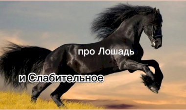 Про Лошадь и Слабительное!