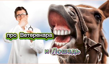 Анекдот про Ветеринара и Лошадь!
