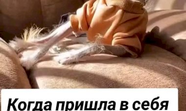 Когда пришла в себя после новогодних праздников…