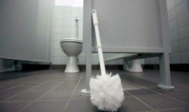 Без морали но с наглядностью