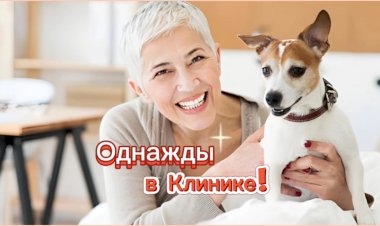Однажды в Ветеринарной клинике!