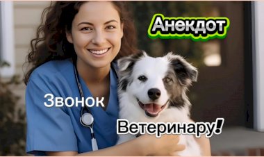 Анекдот про звонок ветеринару.