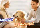 Анекдот про Насморк!!!