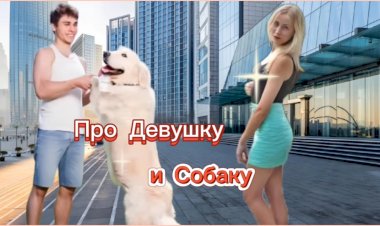 Анекдот про Девушку и Собаку!