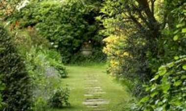 В том самом парке весной