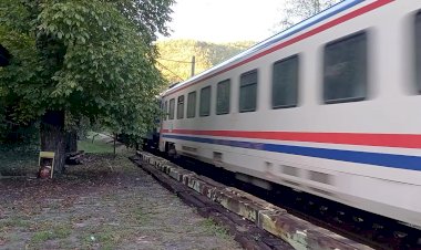 Электровоз Чебурашка с пригородным поездом