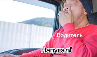 Водитель Напугал!!!