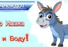 Анекдот про Ишака и Воду!!!