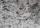 Видеорепортаж " и Снова все о том же"