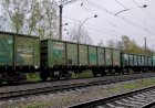 Дождливое БМО, Остановка на перегоне, Электровоз ВЛ11М-290/291А с полувагонами